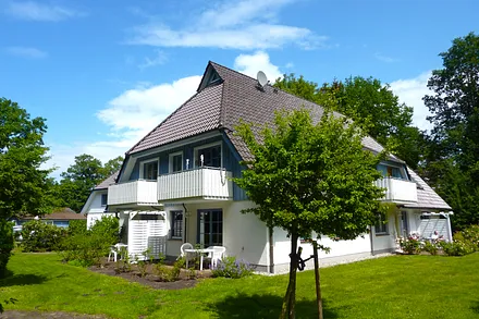 Buchenhain im Sommer