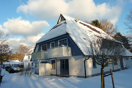 Buchenhain im Winter