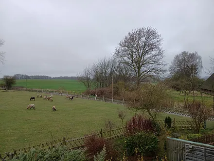 Blick auf die Schafweide