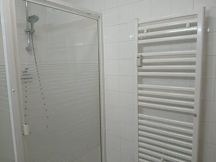 Dusche und Handtuchheizkörper