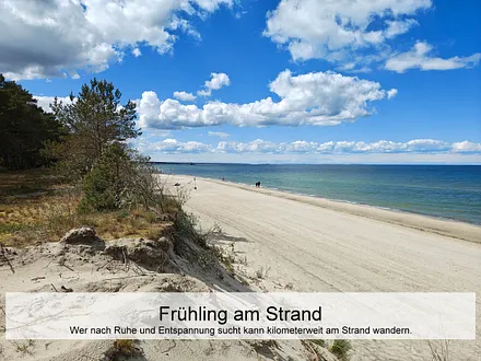 Frühling am Strand