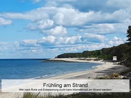 Frühling am Strand
