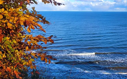 Strandgang im Herbst