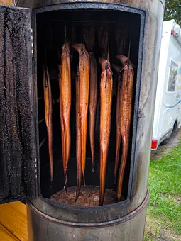 Fangfrisch in den Ofen 