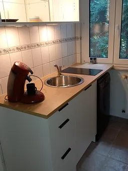 Küchenzeile mit Geschirrspüler in der Wohnküche