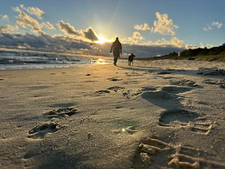 lange Strandspaziergänge - Urlaub mit Hund