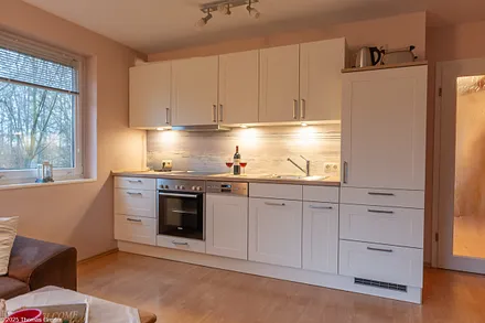 Küche im Wohnzimmer integriert