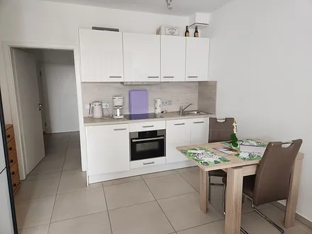 Die moderne Küchenzeile mit Backofen, Geschirrspüler und Kühlschrank mit Eisfach.