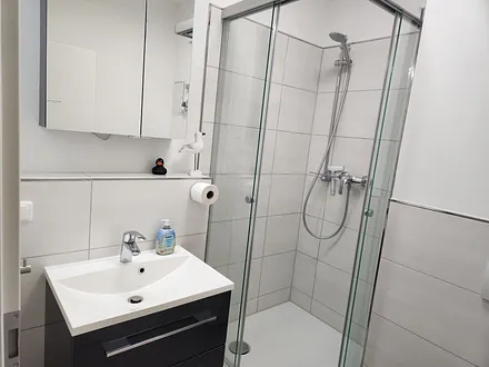 Das moderne Bad mit Dusche und WC.