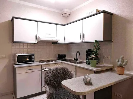 Die Küchenzeile mit Herd, Backofen und Mikrowelle.