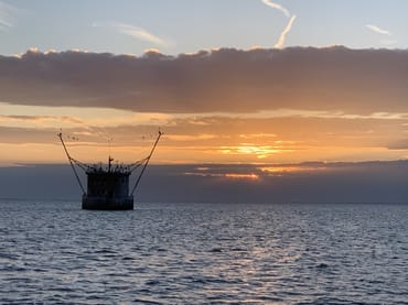 Unvergessliche Momente