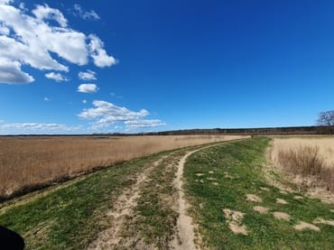 Wandern am Achterwasser