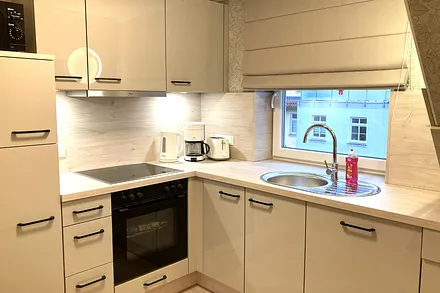 Die Küchenzeile mit Geschirrspüler, Backofen, Mikrowelle und KühlGefrierkombination.