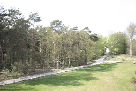 Blick vom Balkon auf den Küstenwald und Sonnenuntergang