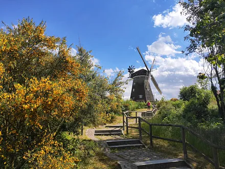 Holländerwindmühle in Benz - ein beliebtes Ausflugsziel
