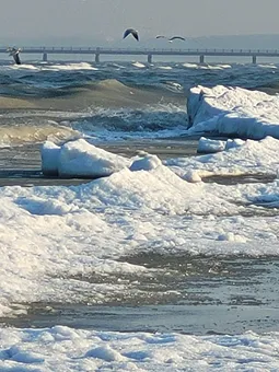 Ostsee im Januar 2026