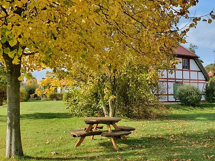 weitläufige Außenanlagen für Picknick, Sport und Spiel