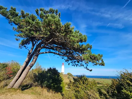 Zur Insel Hiddensee ist es nicht weit.