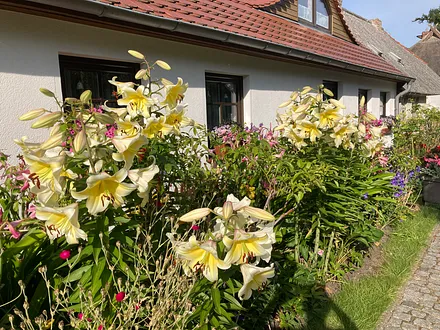 Ferienwohnung mit Lilienpracht