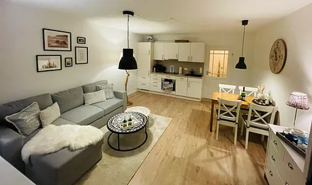 Wohnzimmer mit Schlafcouch, Küchenzeile und Esstisch