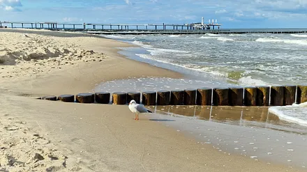 Strand mit Blick auf die Seebrücke Koserow