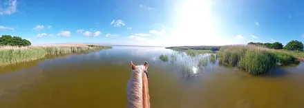 Reiten am Bodden