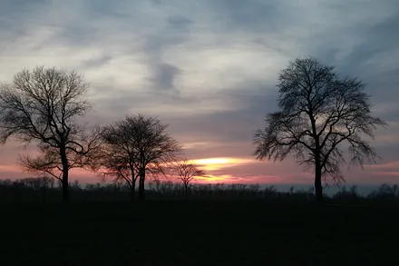 Blick vom Dolmen zur Ostsee am Abend