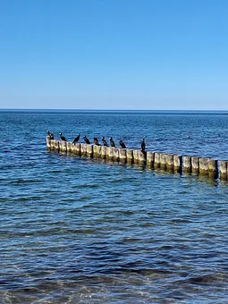 Am Strand