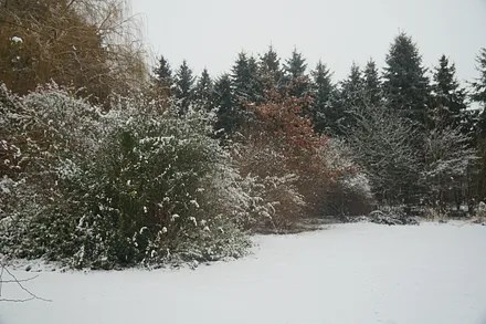 Garten im Winter