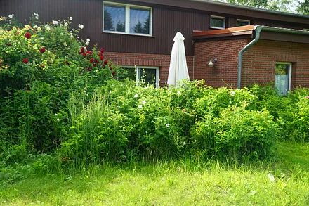 Hinter der Rosenhecke versteckte Terrasse