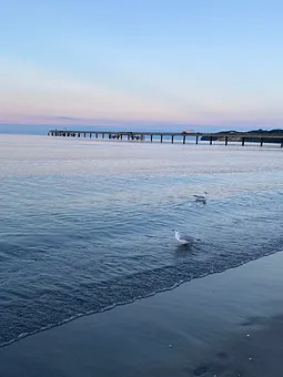 Blick auf die Seebrücke Binz