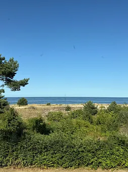 Blick vom Wohnzimmer