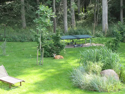 Die wilden Nachbarn