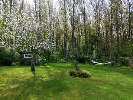 Garten im Frühling