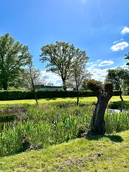 Teich gegenüber vom Haus