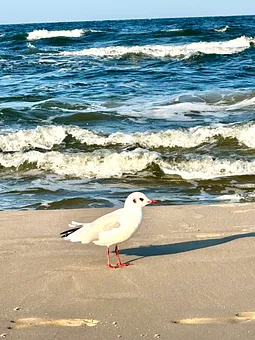 Andere Urlauber