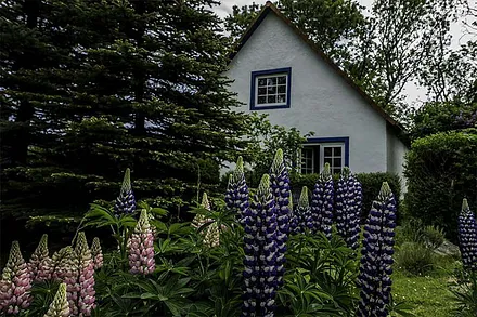 Haus Wetterfrosch Erdgeschoss