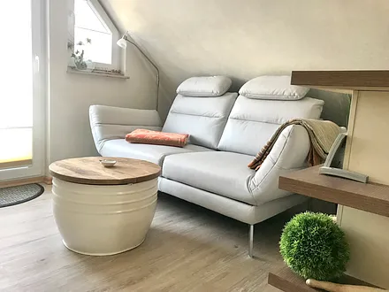 Ledersofa mit Funktion 