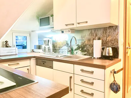 Küchenbereich mit Geschirrspüler, Kühlschrank, Induktionsherd mit  Backofen, Mikrowelle