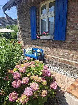 Sommergrüße von Usedom