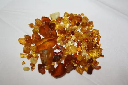 Bernsteinfund am Strand Juliusruh/Breege