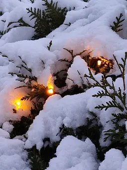 Advents und WEihnachtszeit