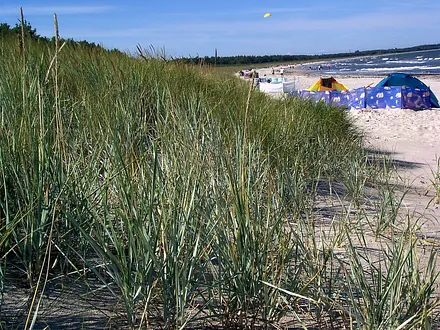 Dünenansicht am Strand