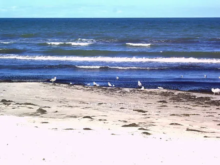 Glower Strand und die Ostsee