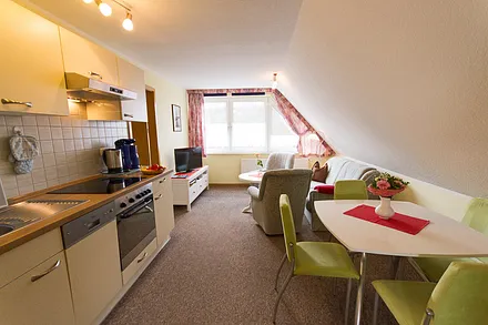 Wohnzimmer mit Integrierter Küche