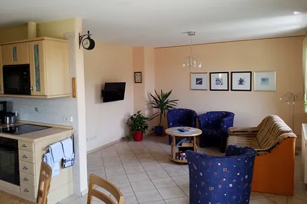 Wohnzimmer mit Küche mit direktem Terrassenzugang zur Südseite