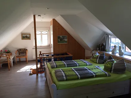 Großzügiger Wohn-Schlafraum