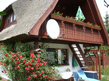 Gartenansicht Wohnung Morgensonne