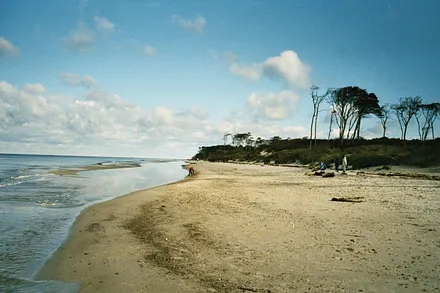 Der Weststrand auf dem Darß-von Arte zu den 10 schönsten Stränden der Welt gekürt!