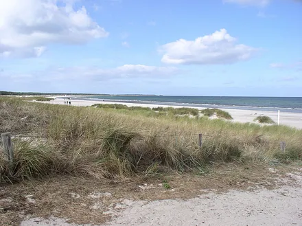 Die Prerow Bucht zählt zu den schönsten Stränden der Welt